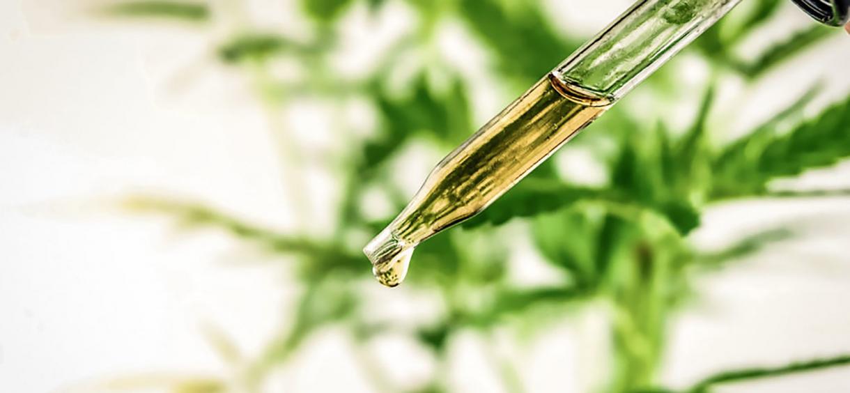 CBD Eye Drops in 2024 👁 Is It Perfect Option for Cataracts,