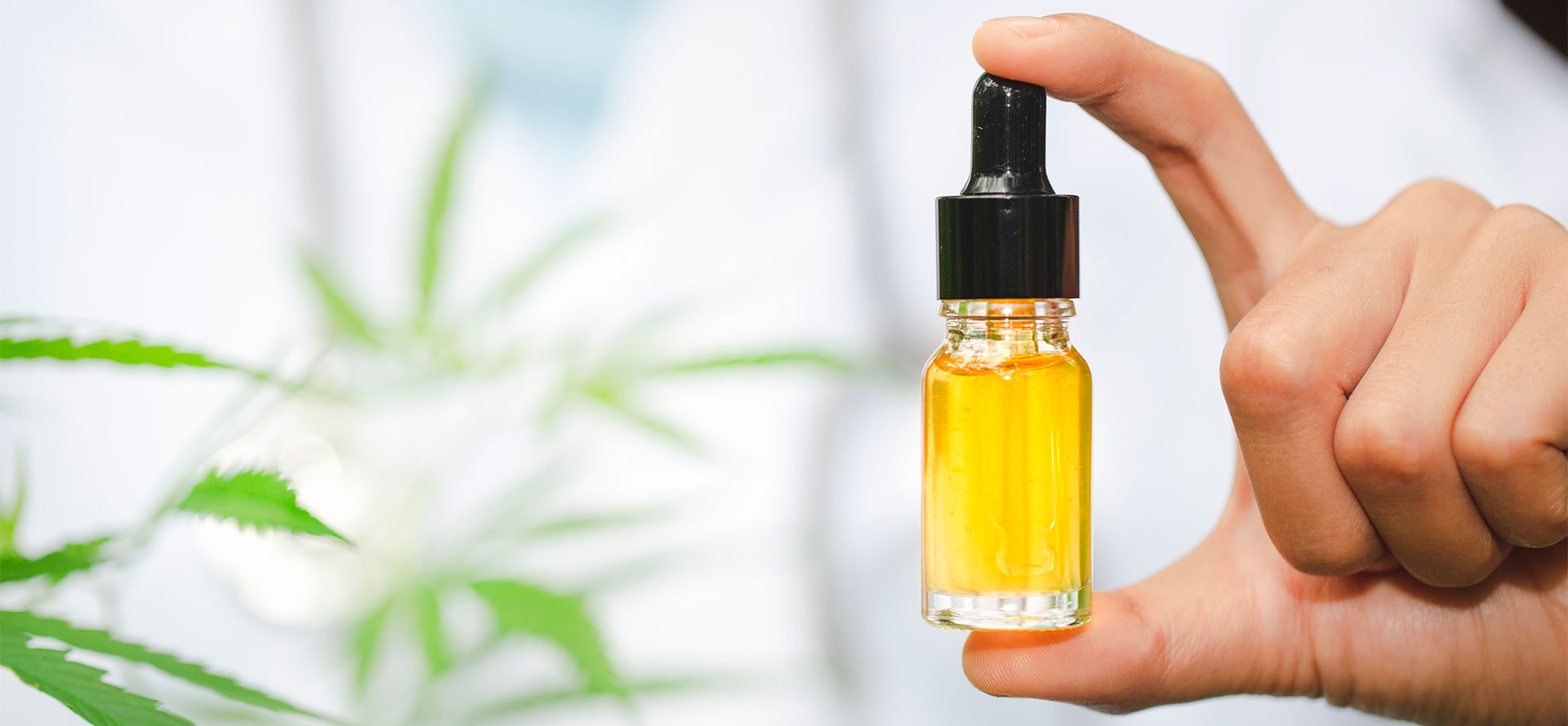 CBD oil for autoimmune in bottle.