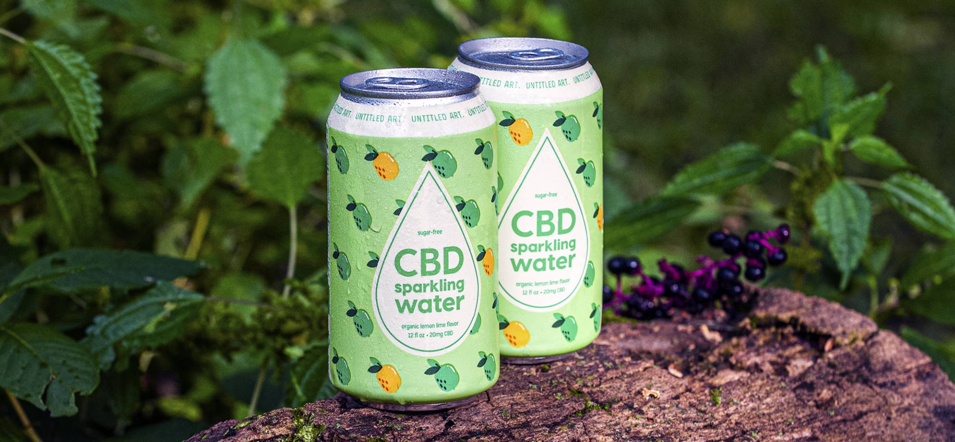 Best CBD Sparkling Water.