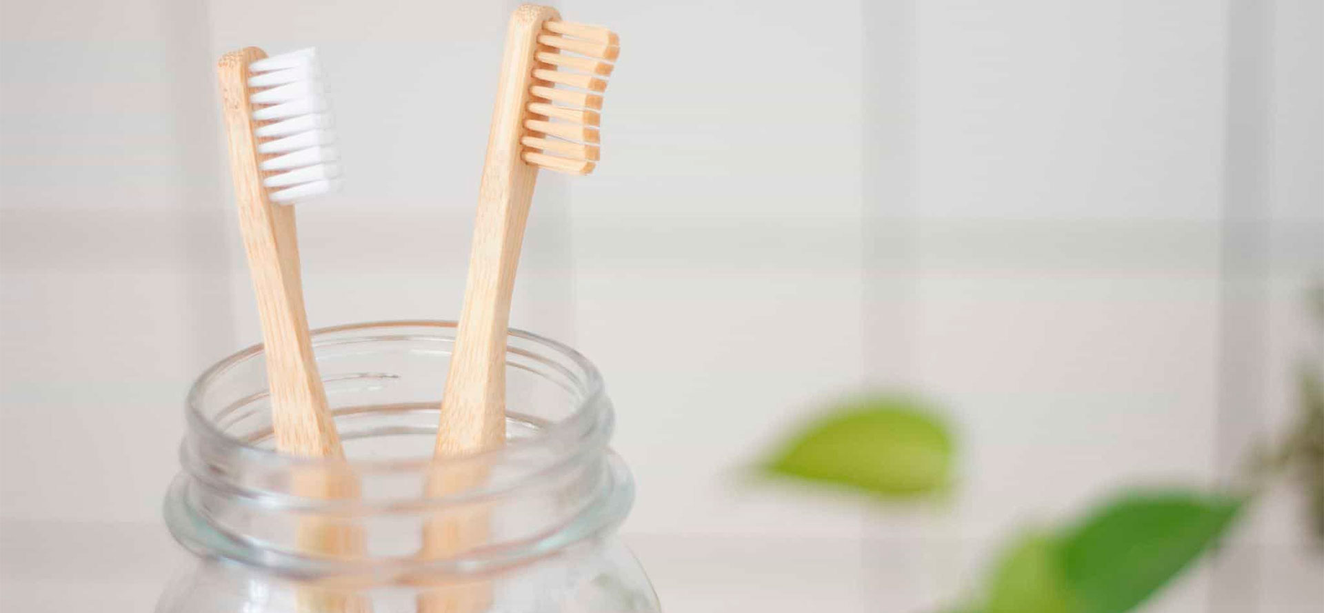 Two toothbrushes and CBD toothpaste.