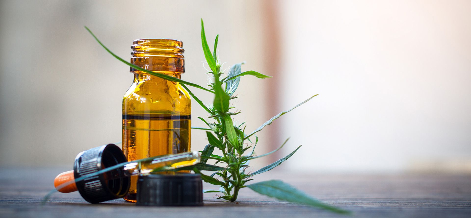 Cannabis Plant And CBD Oil Bottle.