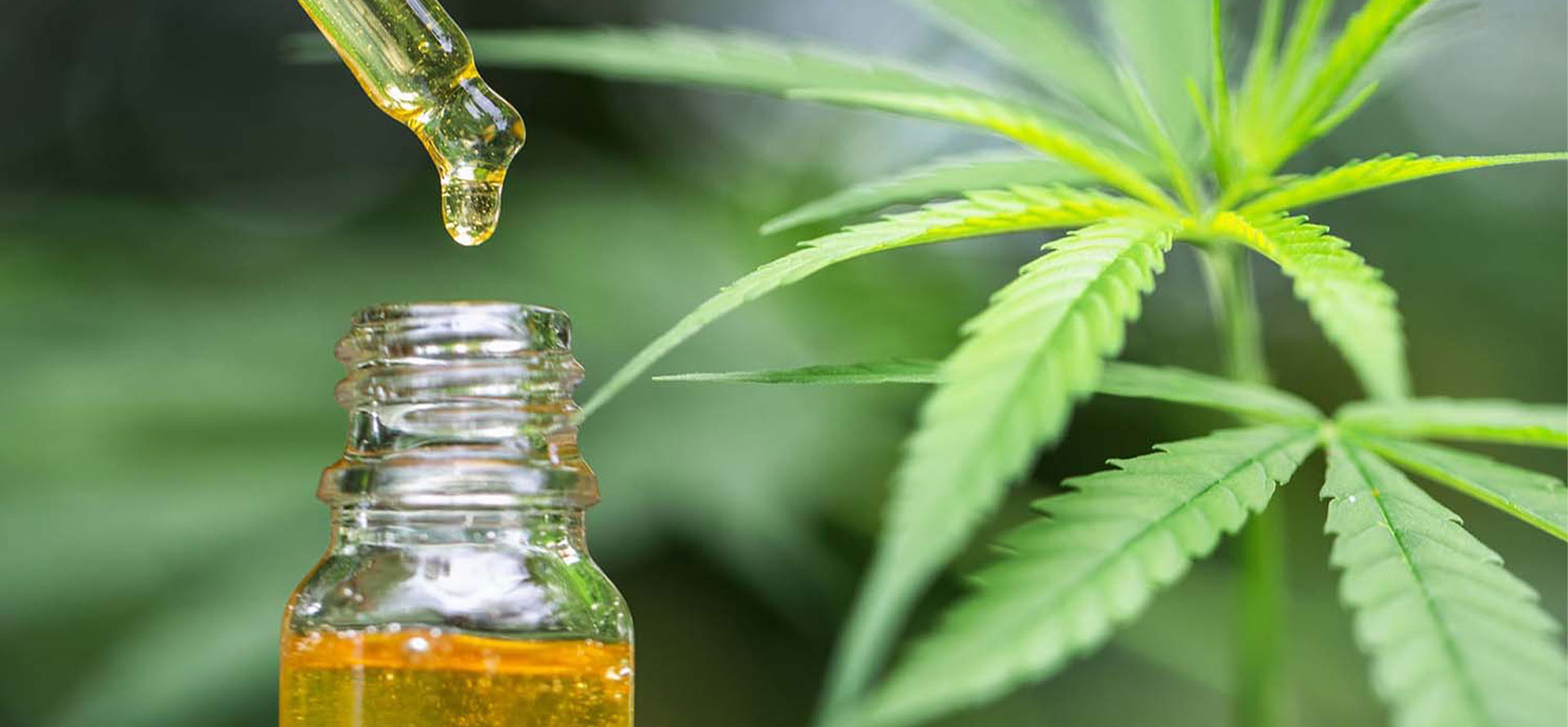 What Is He Difference Between Cbc Oil And Cbd Oil - Cbd|Oil|Cbc|Benefits|Effects|Pain|Thc|Products|Health|Study|Cannabinoids|Cannabis|Anxiety|Studies|Hemp|Research|Symptoms|People|Treatment|System|Plant|Body|Inflammation|Product|Evidence|Receptors|Cancer|Side|Effect|Properties|Brain|Dose|Disease|Marijuana|Cannabidiol|Disorders|Cannabinoid|Way|Relief|Cells|Cbd Oil|Cbc Oil|Cbd Products|Side Effects|Endocannabinoid System|Chronic Pain|Cannabis Plant|Pain Relief|Cbd Oil Benefits|Cannabis Oil|Health Benefits|Multiple Sclerosis|Hemp Plant|Anti-Inflammatory Properties|Blood Pressure|Entourage Effect|Neuropathic Pain|Cbd Product|Hemp Oil|Full-Spectrum Cbd Oil|Nervous System|Hemp Seed Oil|High Blood Pressure|Immune System|Cbd Gummies|Cannabis Oil Benefits|Drug Administration|Anxiety Disorders|Dravet Syndrome|Lennox-Gastaut Syndrome