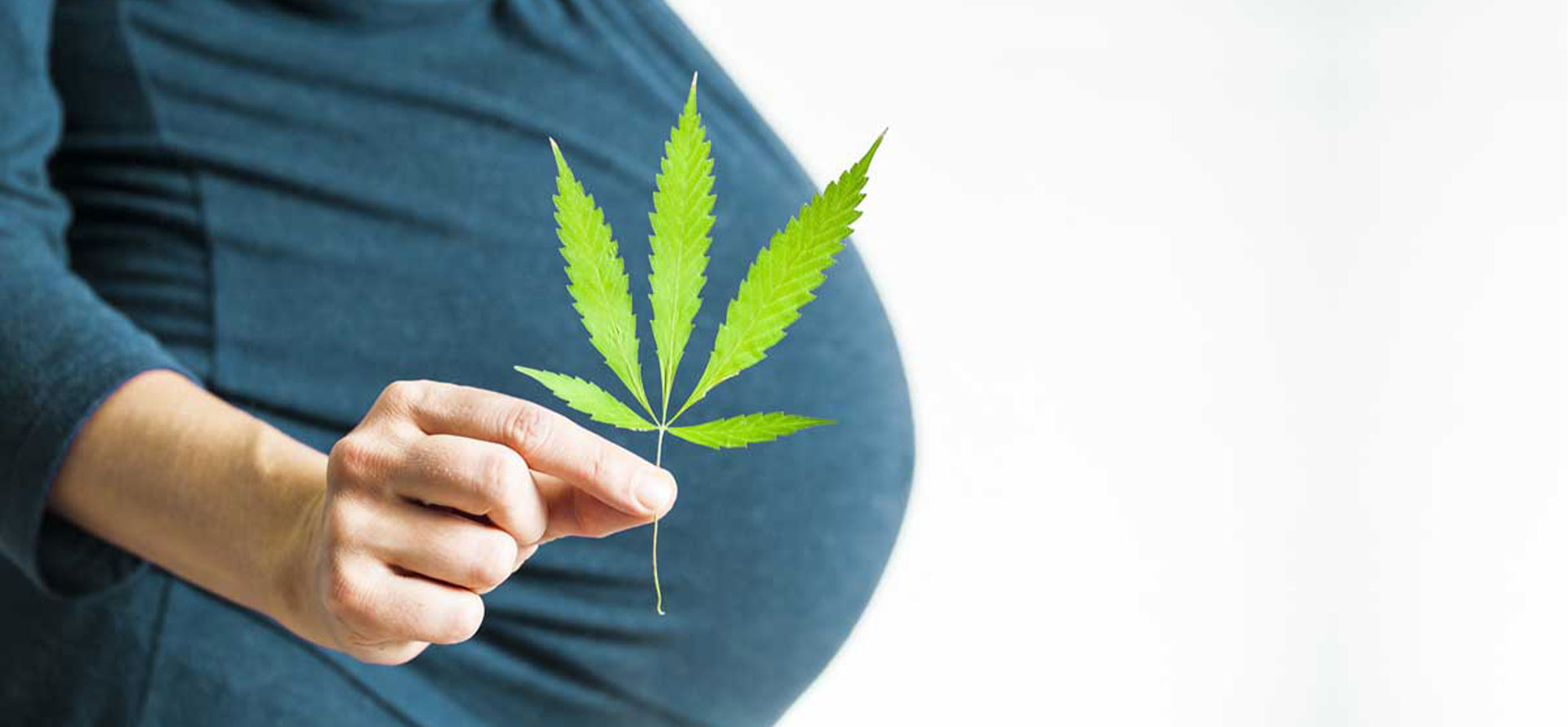 CBD and Pregnancy Is CBD Safe During Pregnancy and What is Main