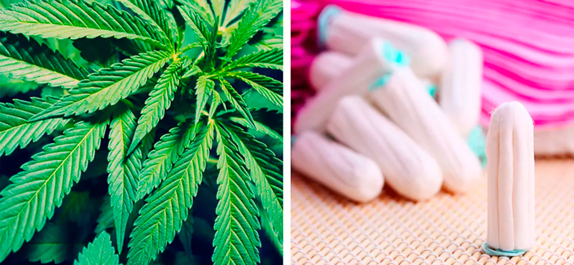 CBD Tampons and hemp.