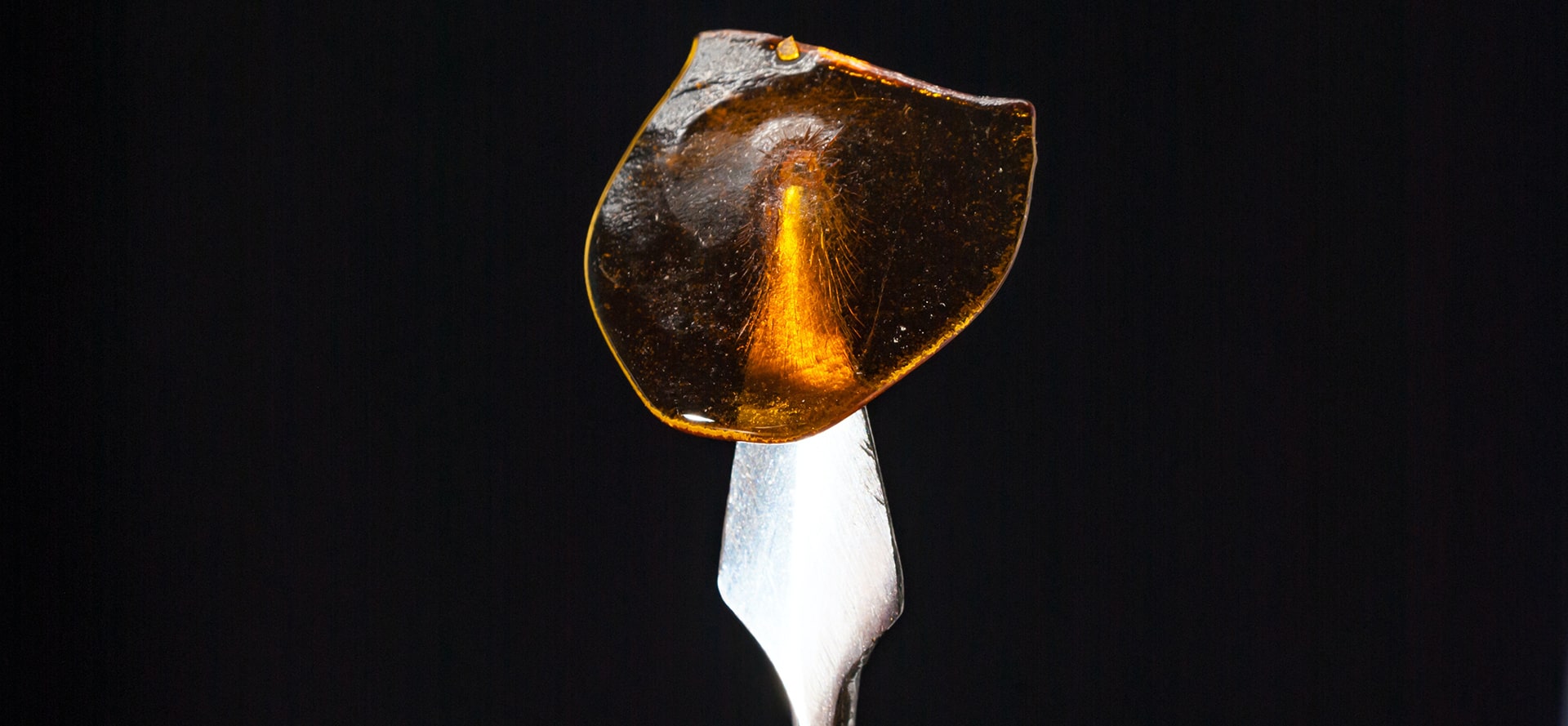 CBD Concentrate.