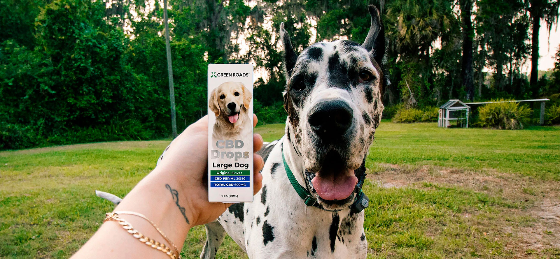 CBD Drops for Dogs.
