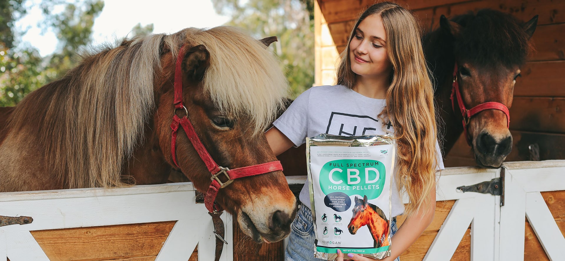 CBD pellets for Horses.