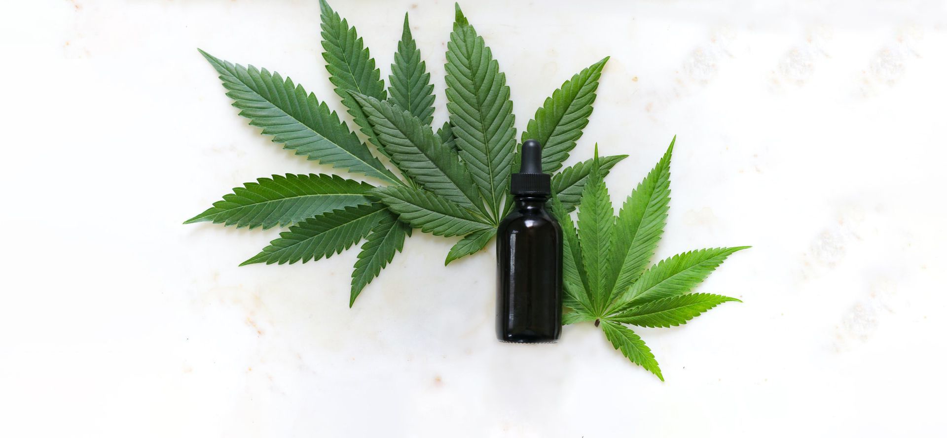 Is CBD Oil Legal in Florida in 2024? CBD Hemp Legality & Laws for