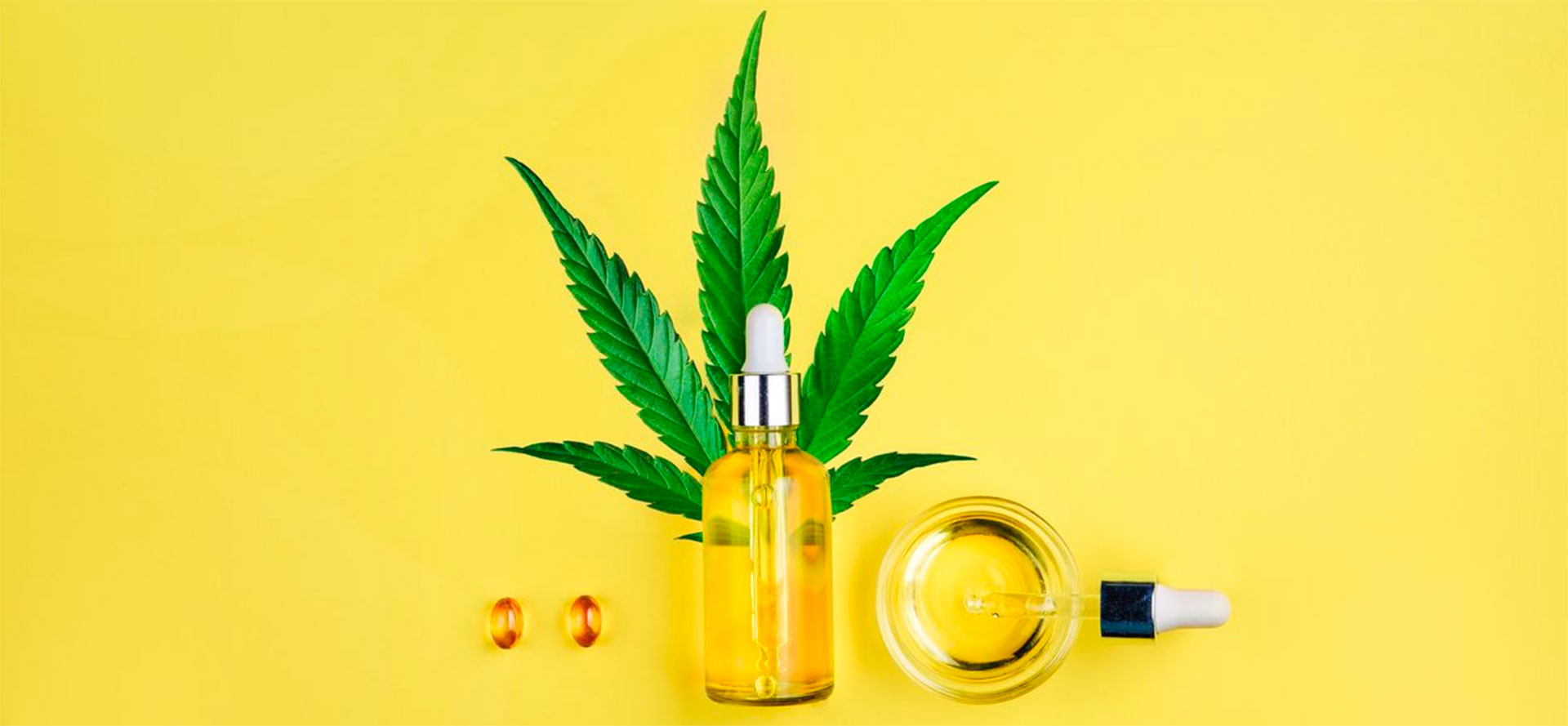 7 Best CBD Oils for Anxiety (2024) Reviews & Definitive Guide