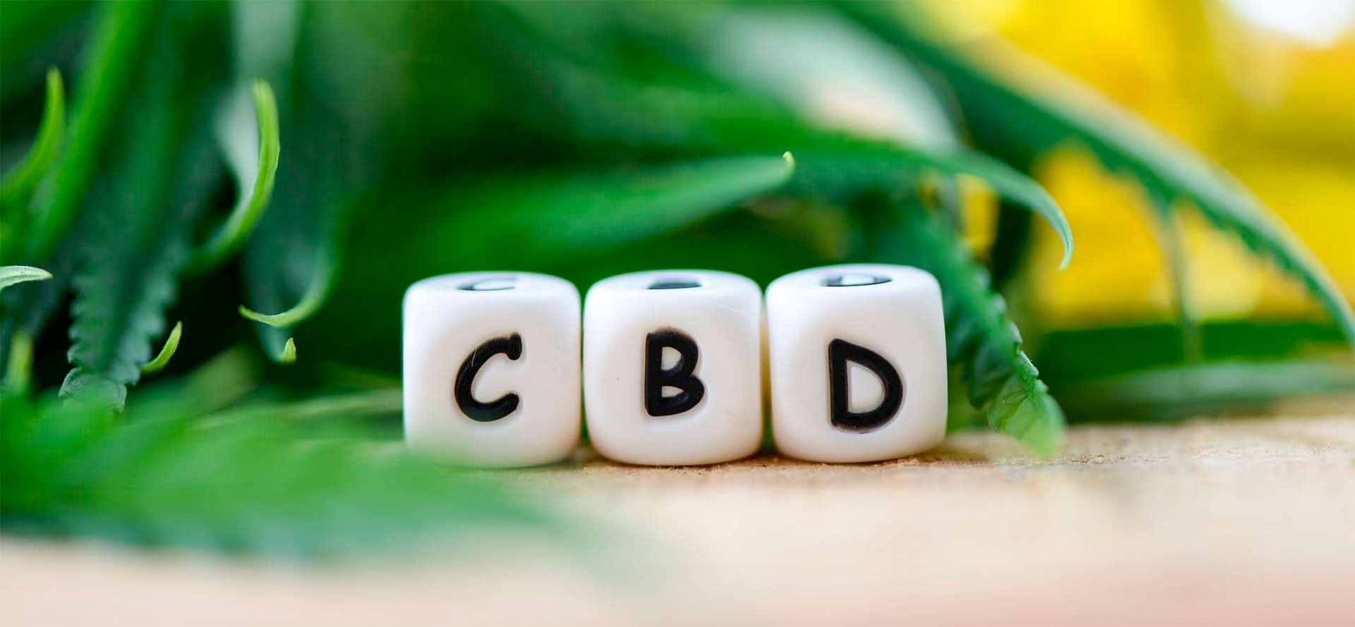 CBD on cubes.