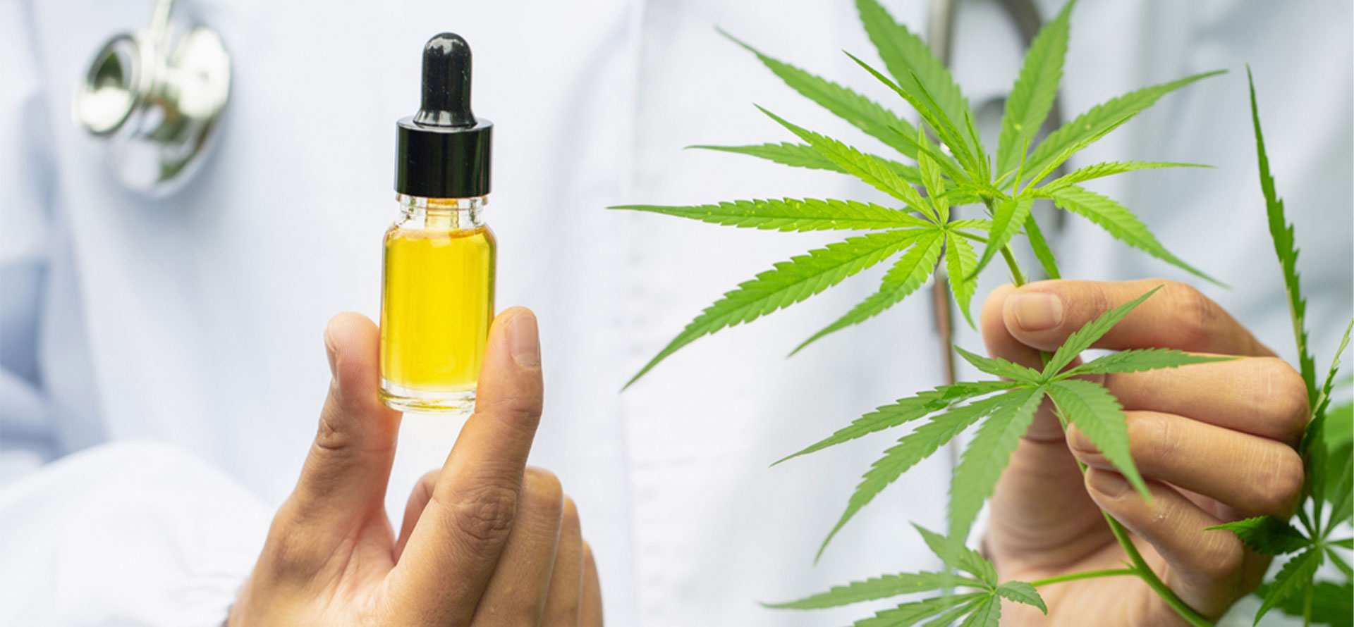 Cbd oil for candida and doctor.