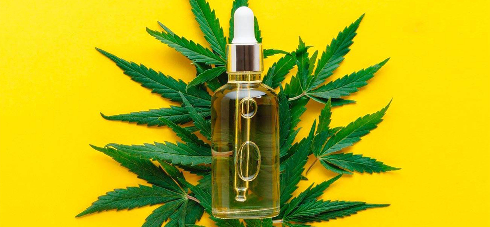 Cbd oil for candida.