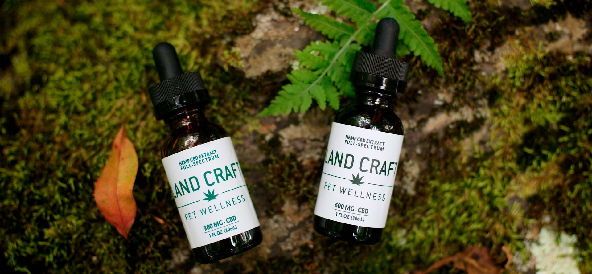 CBD tinctures for Dogs.