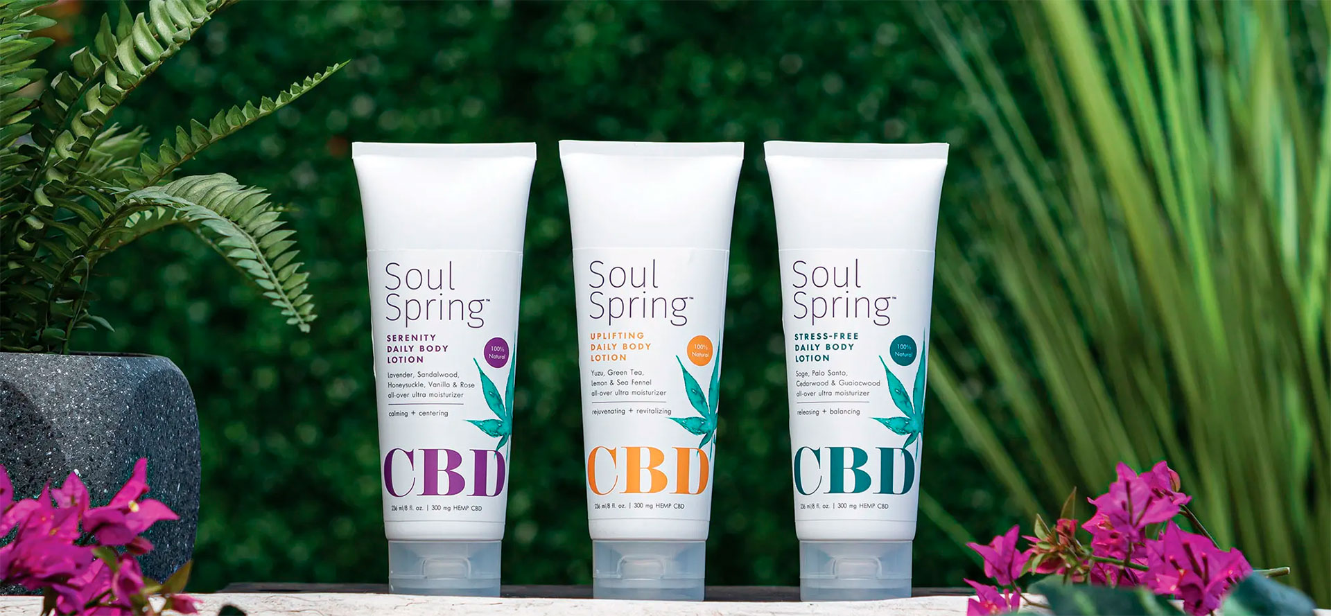 Daily Lotion with CBD.