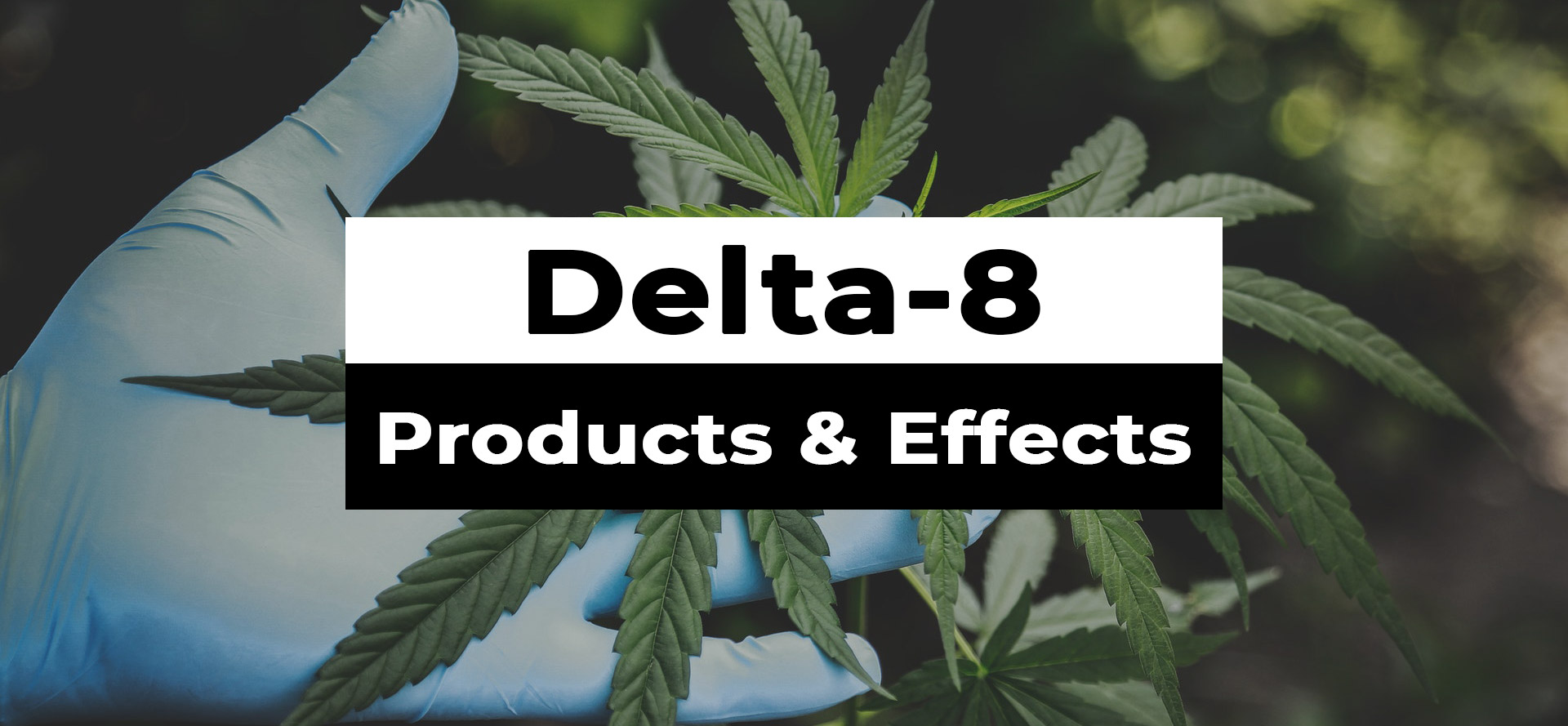 Delta-8 products &
