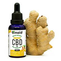Ginger CBD Water-Soluble Drops.