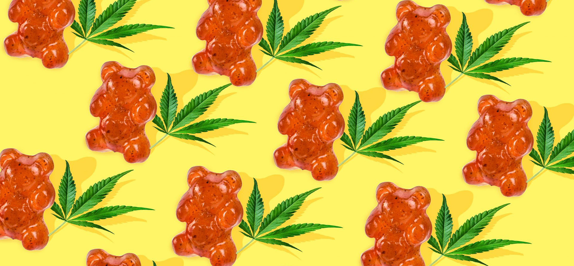 CBD edibles in your system gummy bears.