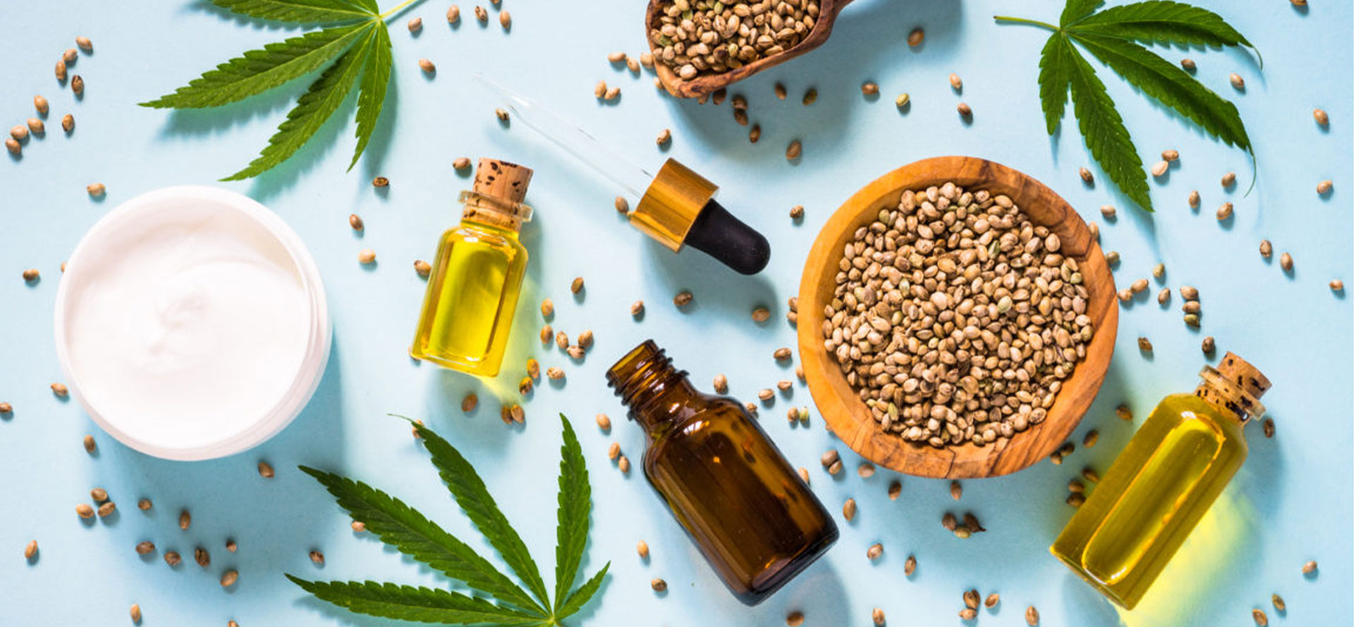 CBD oil in your system and cbd seed.