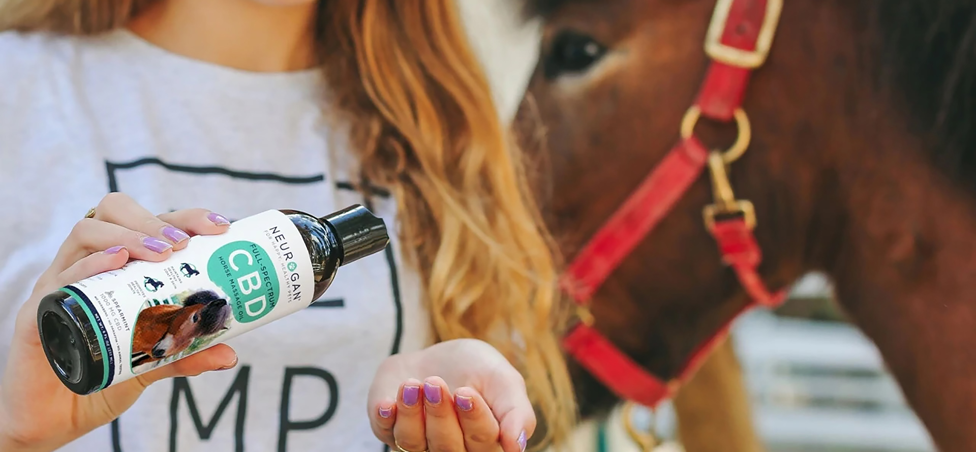 Massage CBD Oil for Horses.