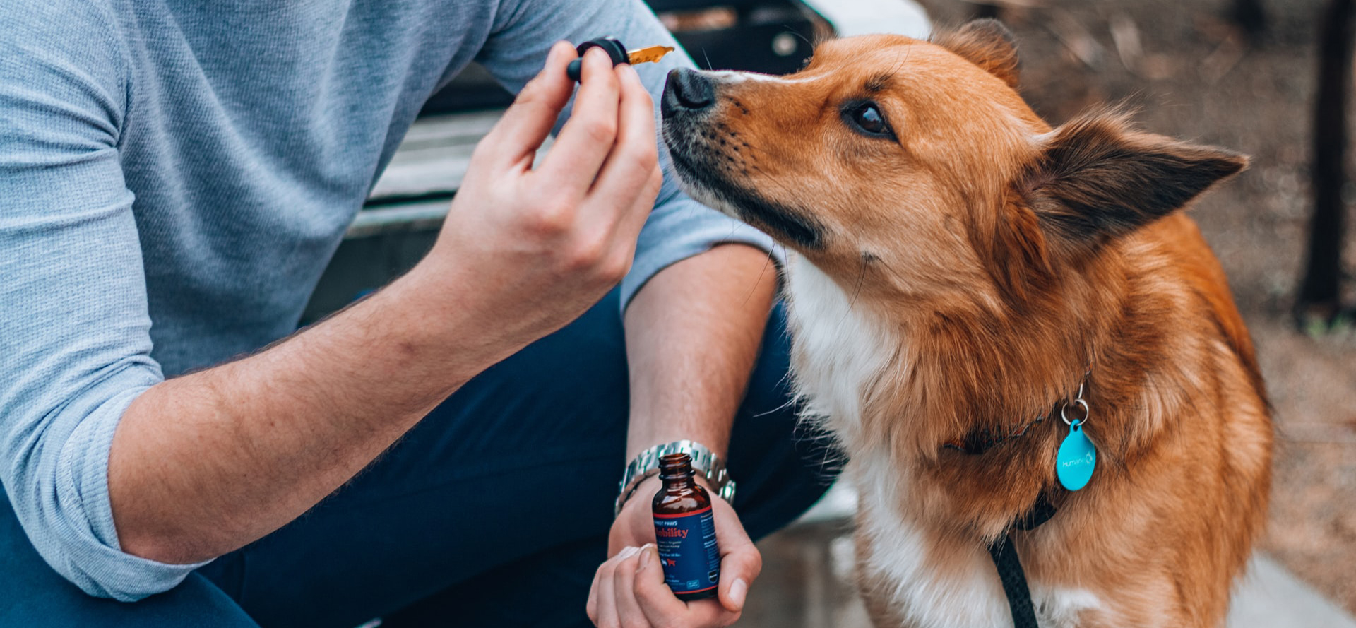 CBD Products for Your Dog.