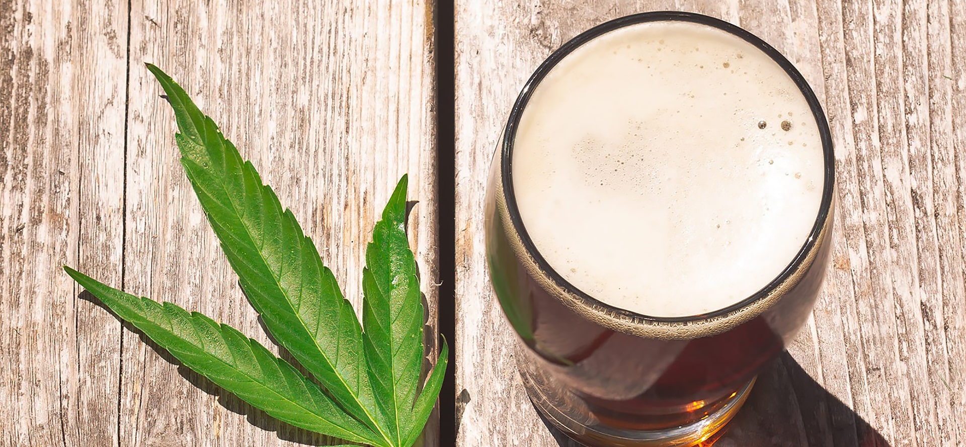 Hemp and CBD Beer glass on table.