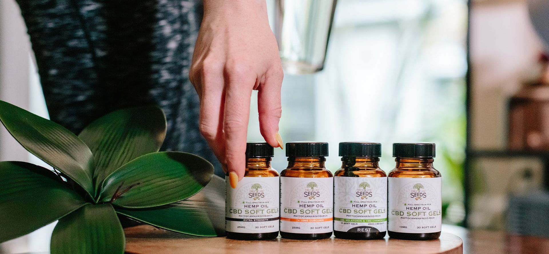 Variants Of CBD For Seniors.